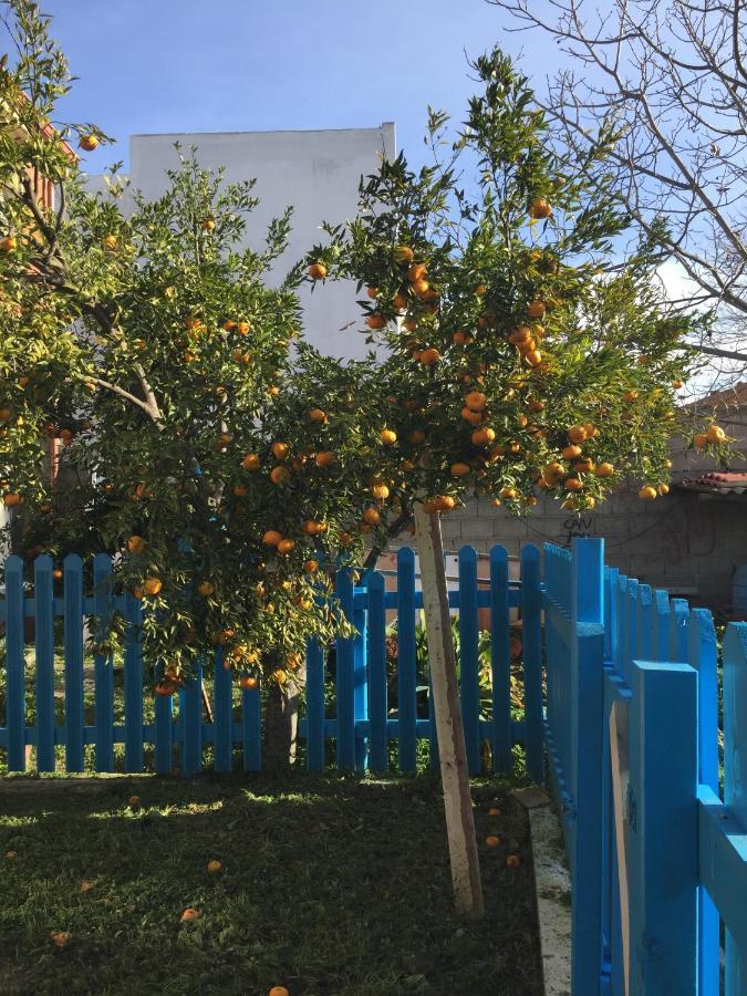 Casa Ondina Ussana - Giardino, Wi-Fi, Aria Condizionata Apartman Kültér fotó